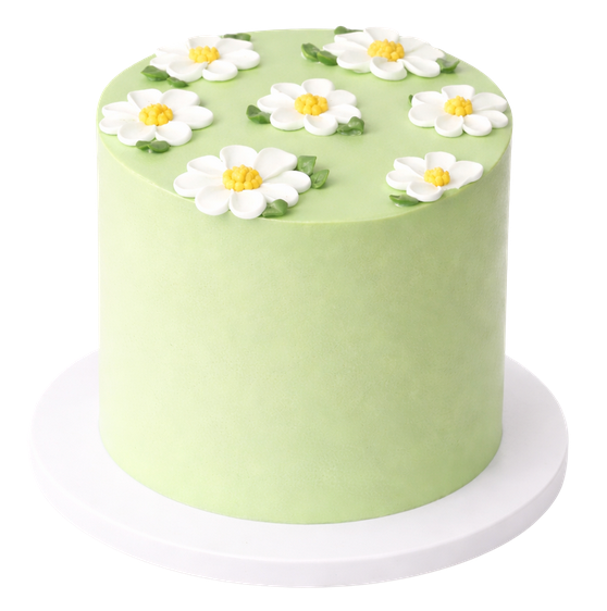 GREEN GARDEN CAKE CLASS